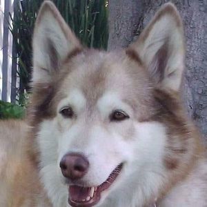 Meet your Posher, Mori